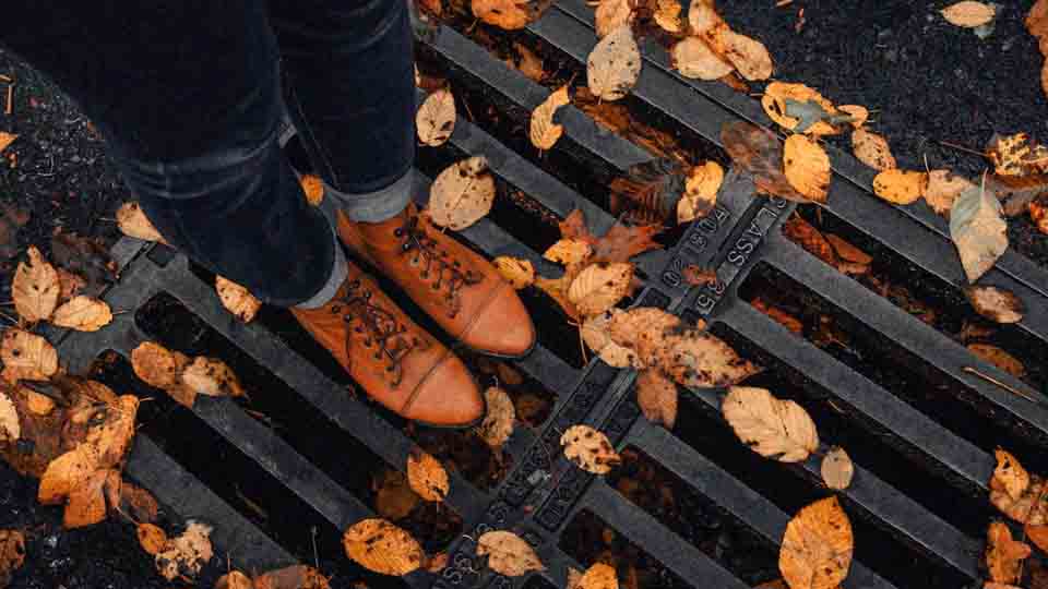 sonbahar mevsim renkleriç